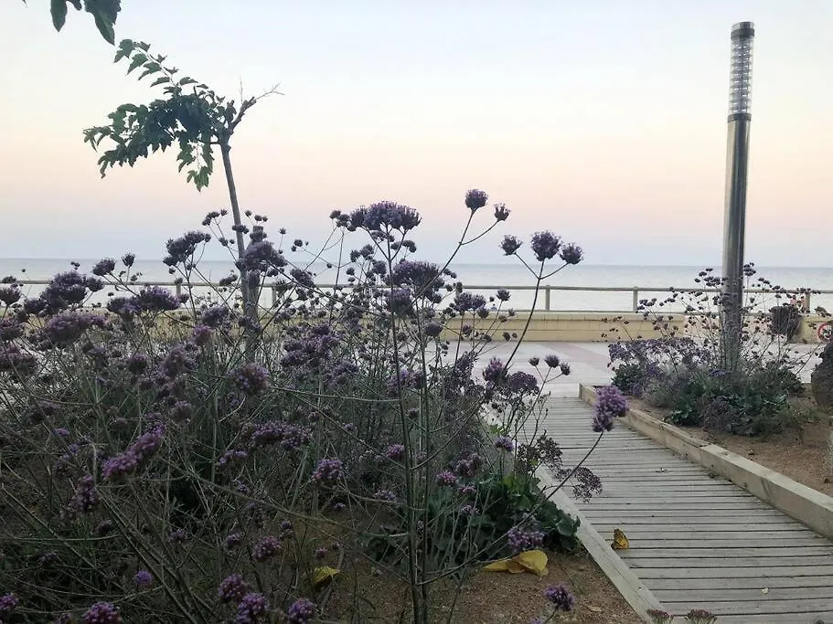 Apartment Blanes Bliss Apt